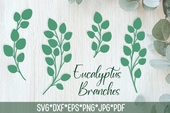 Eucalyptus Branches SVG Greenery Set